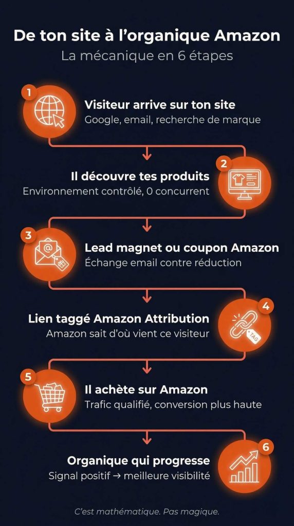 Infographie en 6 étapes : du visiteur sur le site de marque jusqu'au boost organique Amazon via Amazon Attribution — lead magnet, capture email, lien taggé, signal algorithme